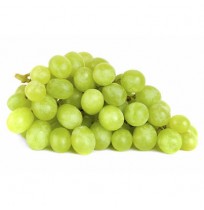 Green Grapes (Seedless, Thomson Variety) from Karnataka